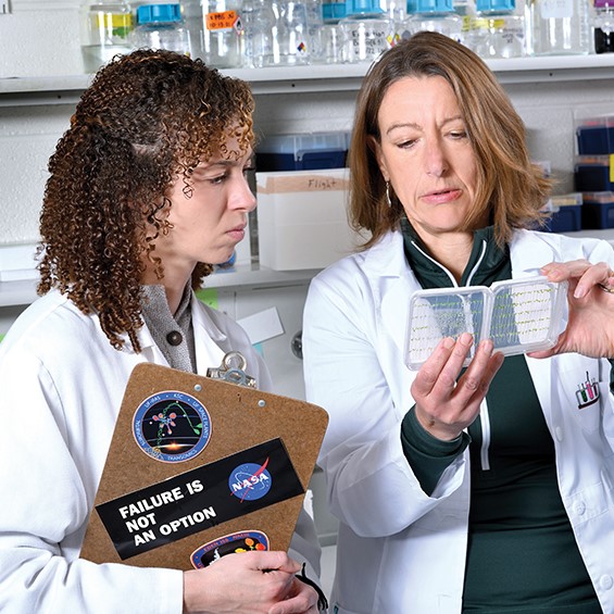Federica Brandizzi and Joanne Thomson look at some of the seedlings that returned from lunar orbit on the Orion spacecraft.