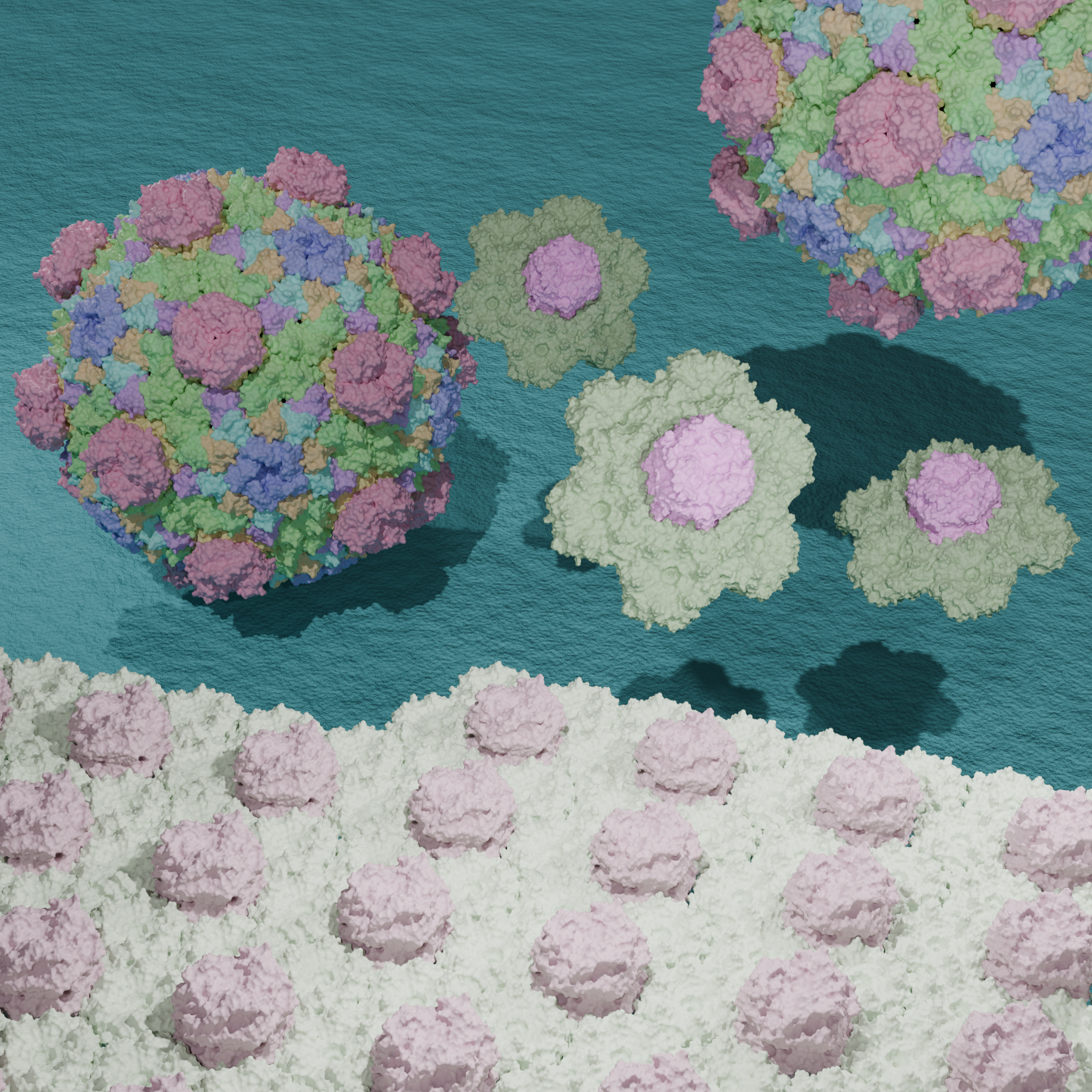 A computer rendering of bacterial microcompartment shell proteins. There are five round shells and a flat sheet.