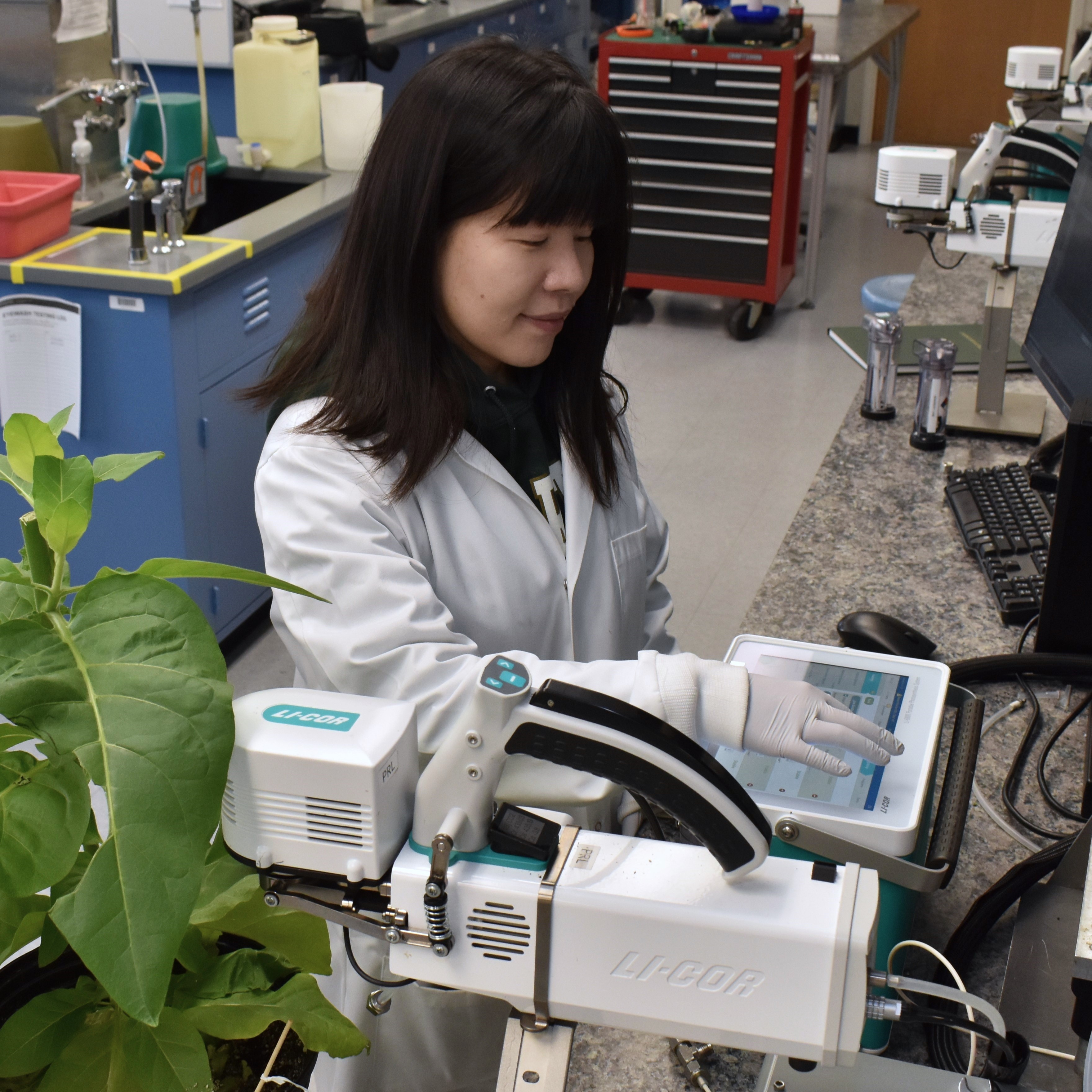 A person in a lab coat uses a machine that is clamped onto the leaf of a plant.