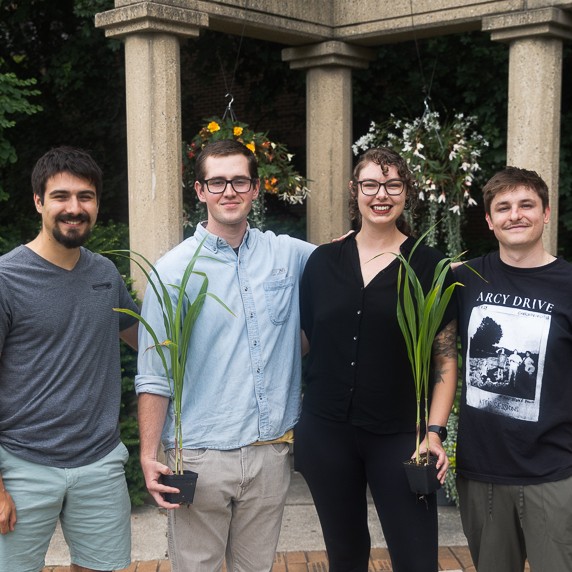 Four people holding sorghum plants