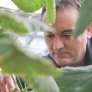 MPS researcher receives grant to continue studying pathogen resistance in plants