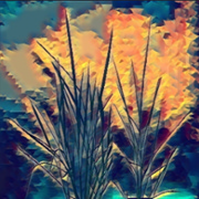 MPS faculty Hatem Rouached: Bigger plants don't always equal more nutritious ones