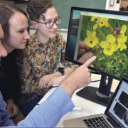 Video: Monkeyflower power and adapting to change with David Lowry at Michigan State University